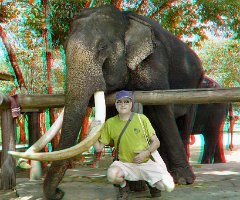 032 Elephant tour 1080042